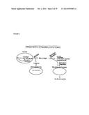 MOLECULAR FLUX RATES THROUGH CRITICAL PATHWAYS MEASURED BY STABLE ISOTOPE     LABELING IN VIVO, AS BIOMARKERS OF DRUG ACTION AND DISEASE ACTIVITY diagram and image