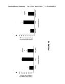 MOLECULAR FLUX RATES THROUGH CRITICAL PATHWAYS MEASURED BY STABLE ISOTOPE     LABELING IN VIVO, AS BIOMARKERS OF DRUG ACTION AND DISEASE ACTIVITY diagram and image