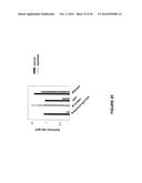 MOLECULAR FLUX RATES THROUGH CRITICAL PATHWAYS MEASURED BY STABLE ISOTOPE     LABELING IN VIVO, AS BIOMARKERS OF DRUG ACTION AND DISEASE ACTIVITY diagram and image