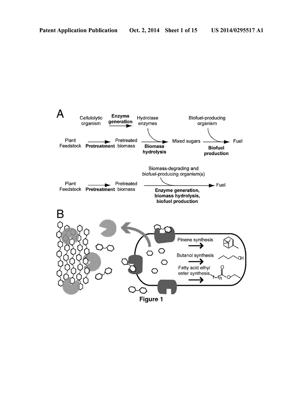 Host Cells and Constructs Useful for Producing Pinene - diagram, schematic, and image 02