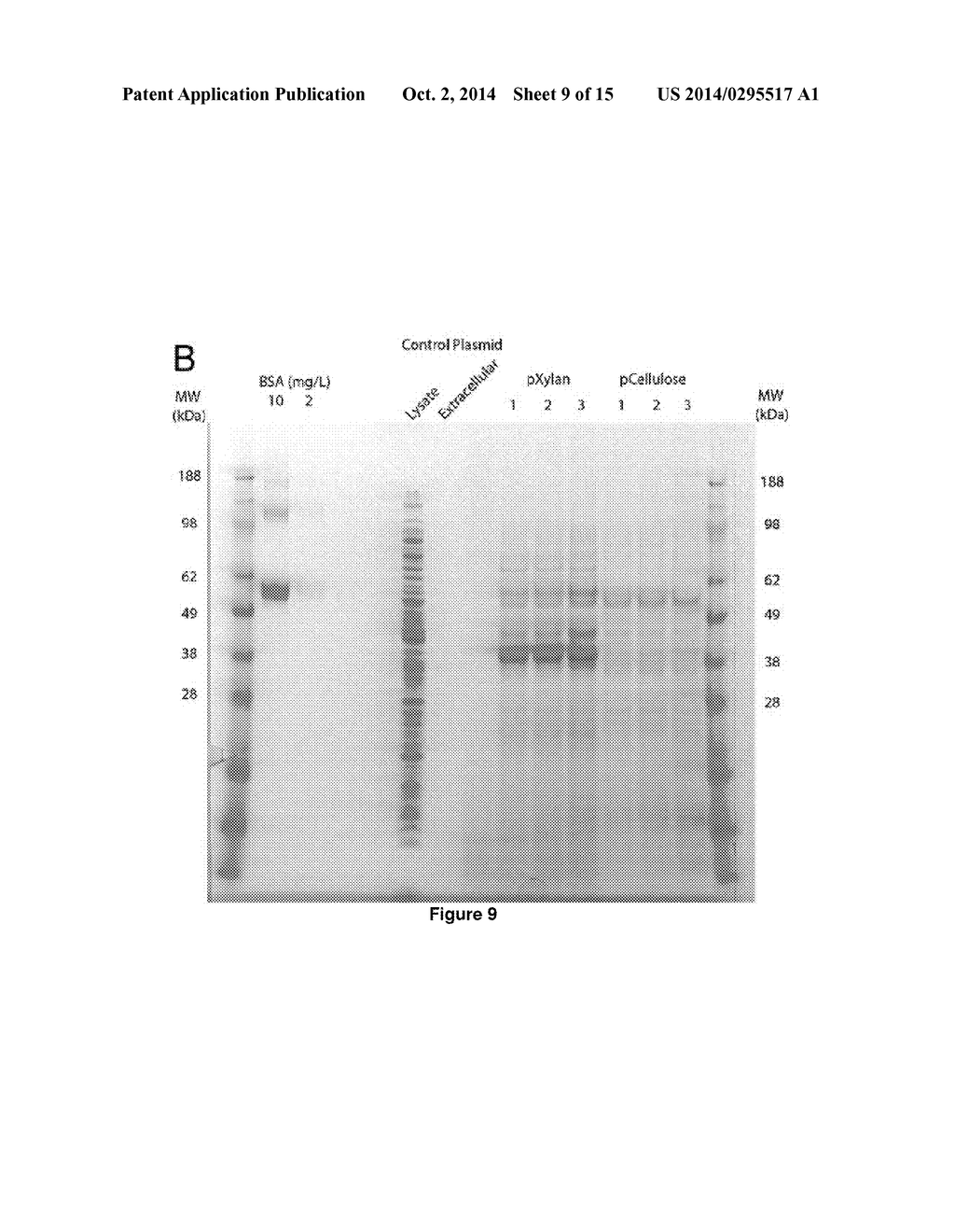 Host Cells and Constructs Useful for Producing Pinene - diagram, schematic, and image 10