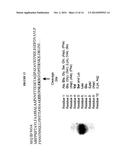 Glucanases, Nucleic Acids Encoding Them and Methods for Making and Using     Them diagram and image