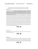 MODIFIED PROTEASES diagram and image