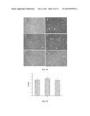 METHOD AND APPARATUS FOR DELIVERY OF MOLECULES TO CELLS diagram and image