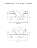 Passivated Copper Chip Pads diagram and image