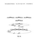 USE OF MULTIPLE RECOMBINATION SITES WITH UNIQUE SPECIFICITY IN     COMBINATIONAL CLONING diagram and image