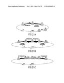 USE OF MULTIPLE RECOMBINATION SITES WITH UNIQUE SPECIFICITY IN     COMBINATIONAL CLONING diagram and image