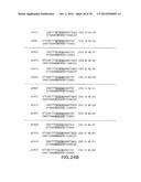 USE OF MULTIPLE RECOMBINATION SITES WITH UNIQUE SPECIFICITY IN     COMBINATIONAL CLONING diagram and image