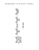 USE OF MULTIPLE RECOMBINATION SITES WITH UNIQUE SPECIFICITY IN     COMBINATIONAL CLONING diagram and image