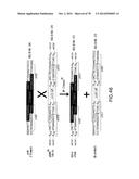 USE OF MULTIPLE RECOMBINATION SITES WITH UNIQUE SPECIFICITY IN     COMBINATIONAL CLONING diagram and image