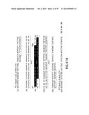 USE OF MULTIPLE RECOMBINATION SITES WITH UNIQUE SPECIFICITY IN     COMBINATIONAL CLONING diagram and image