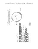 USE OF MULTIPLE RECOMBINATION SITES WITH UNIQUE SPECIFICITY IN     COMBINATIONAL CLONING diagram and image