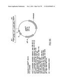 USE OF MULTIPLE RECOMBINATION SITES WITH UNIQUE SPECIFICITY IN     COMBINATIONAL CLONING diagram and image