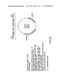 USE OF MULTIPLE RECOMBINATION SITES WITH UNIQUE SPECIFICITY IN     COMBINATIONAL CLONING diagram and image