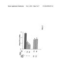 MEDICAMENT FOR THE TREATMENT OF FUNGAL INFECTIONS PARTICULARLY     ASPERGILLOSIS diagram and image