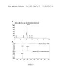COMPOSITION AND METHOD FOR INDUCING EPO-MEDIATED HAEMOGLOBIN EXPRESSION     AND MITOCHONDRIAL BIOGENESIS IN NONHAEMATOPOIETIC CELL diagram and image