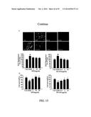 COMPOSITION AND METHOD FOR INDUCING EPO-MEDIATED HAEMOGLOBIN EXPRESSION     AND MITOCHONDRIAL BIOGENESIS IN NONHAEMATOPOIETIC CELL diagram and image