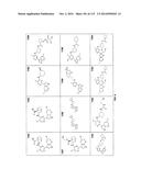 INHIBITORS OF INFLUENZA VIRUSES REPLICATION diagram and image