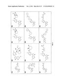 INHIBITORS OF INFLUENZA VIRUSES REPLICATION diagram and image