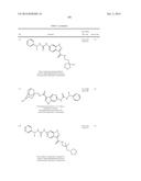 NOVEL COMPOUNDS THAT ARE ERK INHIBITORS diagram and image