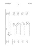 MULTIFUNCTIONAL QUINOLINE DERIVATIVES AS ANTI-NEURODEGENERATIVE AGENTS diagram and image