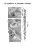 Use Of siRNA To Achieve Down Regulation Of An Endogenous Gene In     Combination With The Use of A Sense Construct To Achieve Expression Of A     Polynucleotide diagram and image