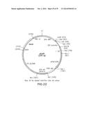 Use Of siRNA To Achieve Down Regulation Of An Endogenous Gene In     Combination With The Use of A Sense Construct To Achieve Expression Of A     Polynucleotide diagram and image