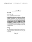 Use Of siRNA To Achieve Down Regulation Of An Endogenous Gene In     Combination With The Use of A Sense Construct To Achieve Expression Of A     Polynucleotide diagram and image