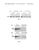 TRICYCLO-PHOSPHOROTHIOATE DNA diagram and image