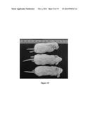 TRICYCLO-PHOSPHOROTHIOATE DNA diagram and image