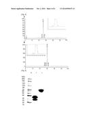 METHOD FOR PREPARING PHYSIOLOGICALLY ACTIVE POLYPEPTIDE COMPLEX diagram and image