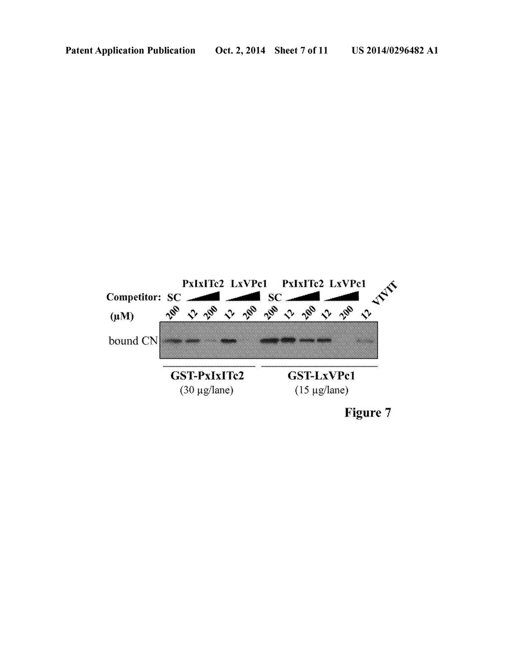 METHOD TO SCREEN FOR SELECTIVE PEPTIDES THAT  INHIBIT THE BIOLOGICAL     ACTIVITY OF CALCINEURIN - diagram, schematic, and image 08