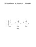 Cyclin Based Inhibitors of CDK2 and CDK4 diagram and image