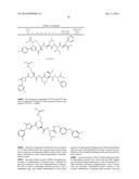 Cyclin Based Inhibitors of CDK2 and CDK4 diagram and image