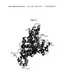 Modified Human Plasma Polypeptide or Fc Scaffolds and Their Uses diagram and image