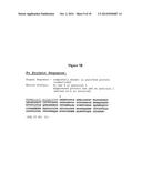 Modified Human Plasma Polypeptide or Fc Scaffolds and Their Uses diagram and image