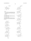 HALOGENATED COMPOUNDS FOR PHOTODYNAMIC THERAPY diagram and image