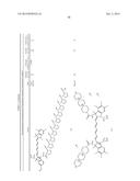 HALOGENATED COMPOUNDS FOR PHOTODYNAMIC THERAPY diagram and image