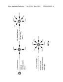 CONJUGATED GOLD NANOPARTICLES diagram and image