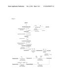 Microorganisms And Methods For Producing Propionic Acid diagram and image