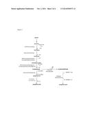 Microorganisms And Methods For Producing Propionic Acid diagram and image