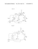 Microorganisms And Methods For Producing Propionic Acid diagram and image