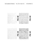 Preparation of Regenerative Tissue Scaffolds diagram and image