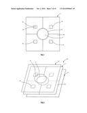 SAMPLING AND TESTING DEVICE FOR THE HUMAN OR ANIMAL BODY diagram and image