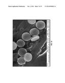 GOLD-IN-SILICON NANOASSEMBLY FOR THERMAL THERAPY AND METHODS OF USE diagram and image