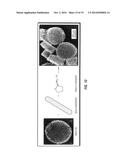 GOLD-IN-SILICON NANOASSEMBLY FOR THERMAL THERAPY AND METHODS OF USE diagram and image