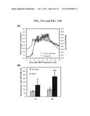 GOLD-IN-SILICON NANOASSEMBLY FOR THERMAL THERAPY AND METHODS OF USE diagram and image