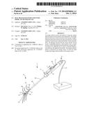 DUAL BRACKETED ENERGY DELIVERY PROBE AND METHOD OF USE diagram and image