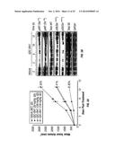 PIK3CA H1047R Knock-In Non-Human Animal Breast Cancer Model diagram and image