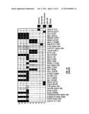 PIK3CA H1047R Knock-In Non-Human Animal Breast Cancer Model diagram and image